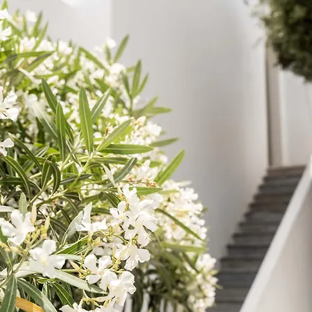 Philosophy Of Mykonos Boutique מלון 3*